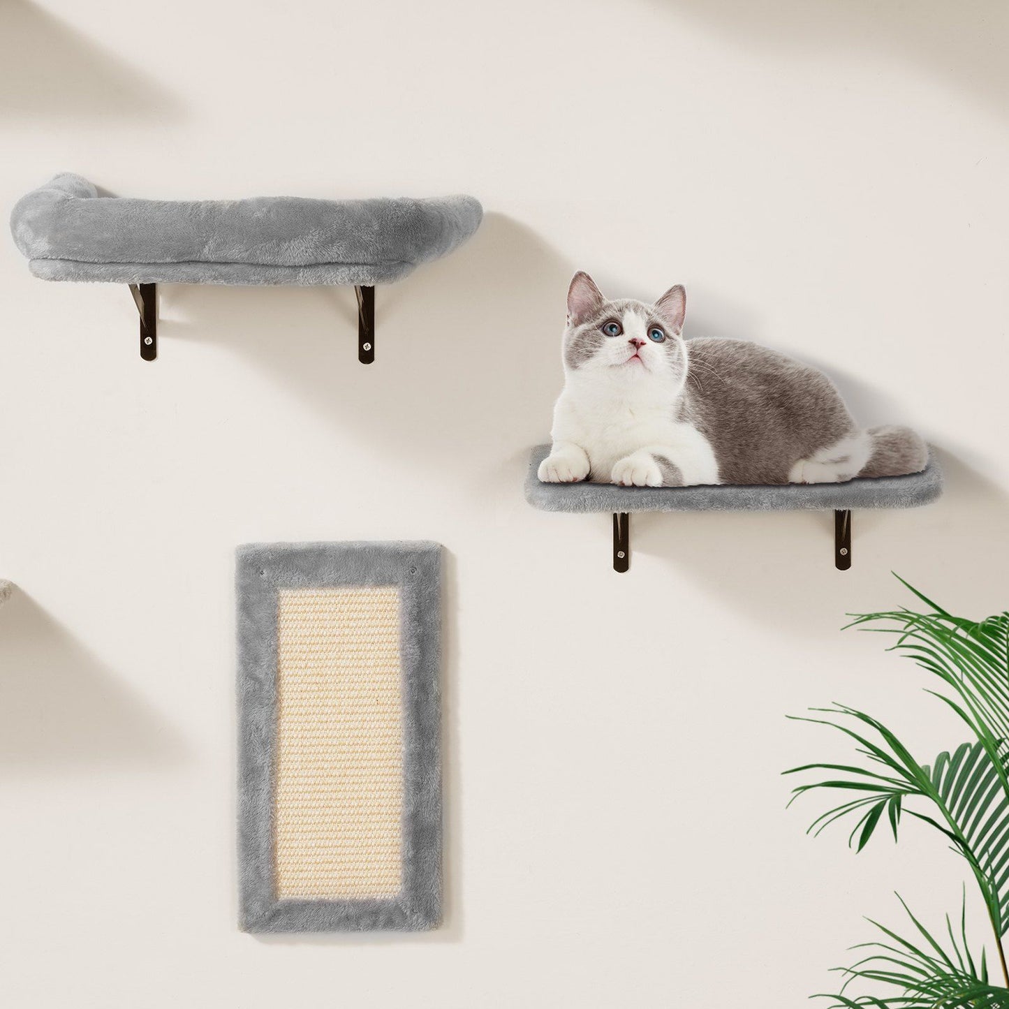 Wall Mounted Cat Shelves Tree with Jump Boards Hammock Sofa Grip Set of 6