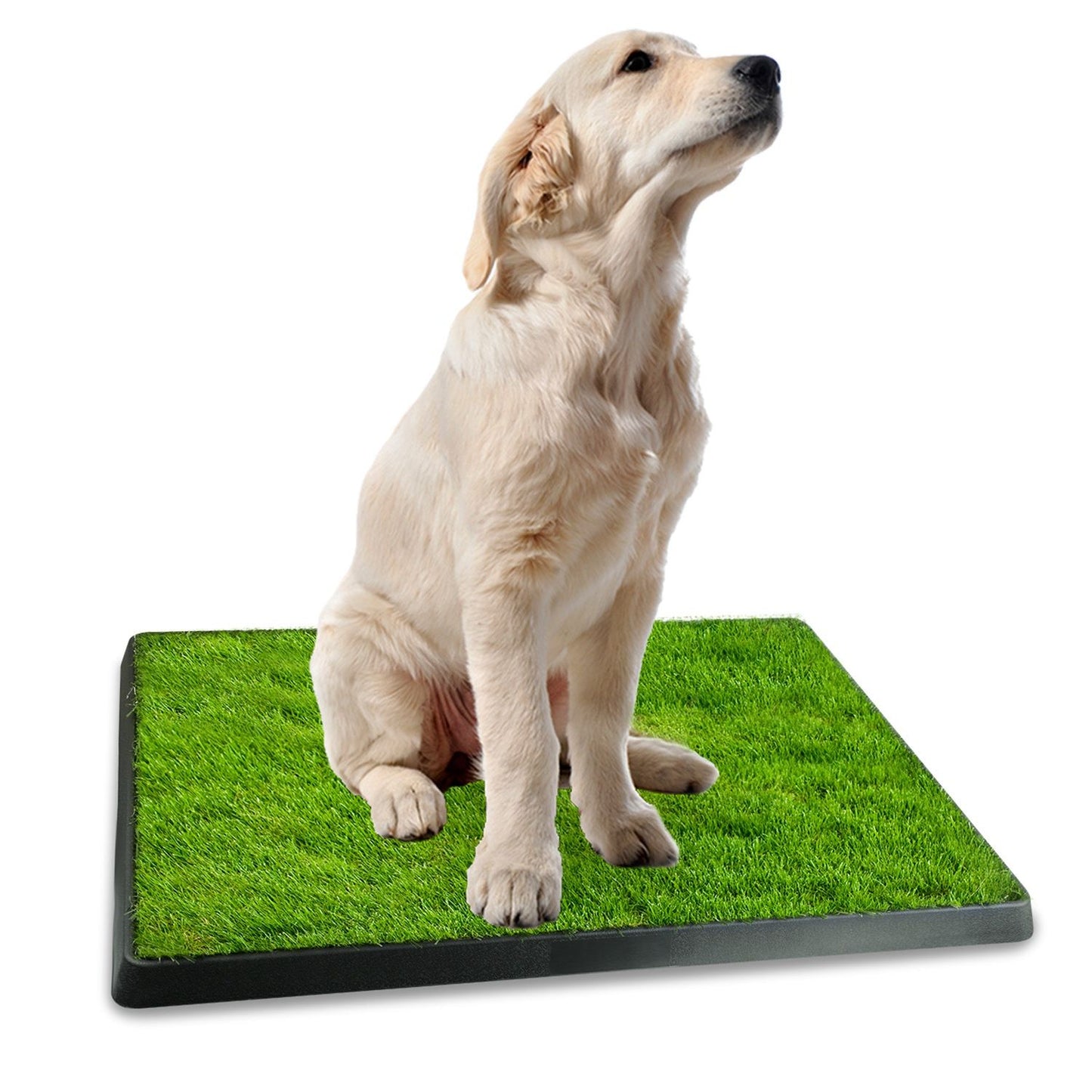 25"×20" Dog Toilet Indoor Puppy Training Pad, Dog Potty Pet Training Grass Mat, Removable Waste Tray for Easier Clean Up, Artificial Turf