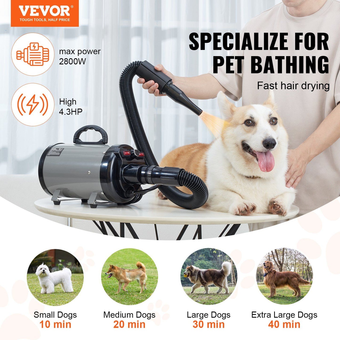 Dog Dryer, 2800W/4.3HP Dog Blow Dryer, Pet Grooming Dryer with Adjustable Speed and Temperature Control, Pet Hair Dryer with 4 Nozzles and Extendable Hose, Grey and Black